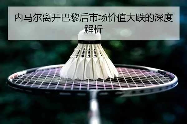 nei-ma-er-li-kai-ba-li-hou-shi-chang-jia-zhi-da-die-de-shen-du-jie-xi-1-538.jpg
